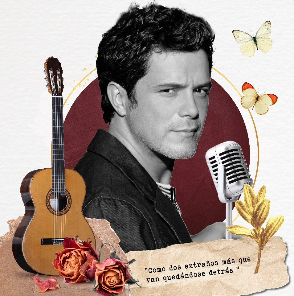 Cuadro Alejandro Sanz