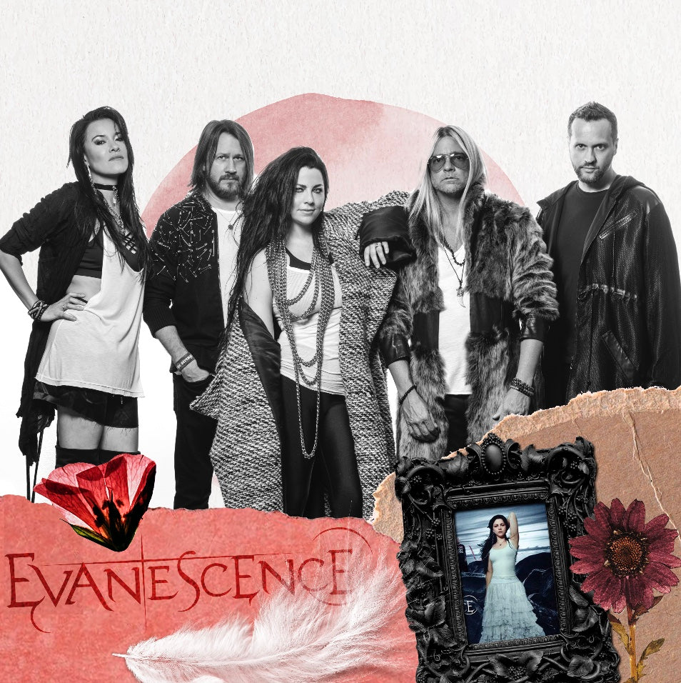 Cuadro Evanescence