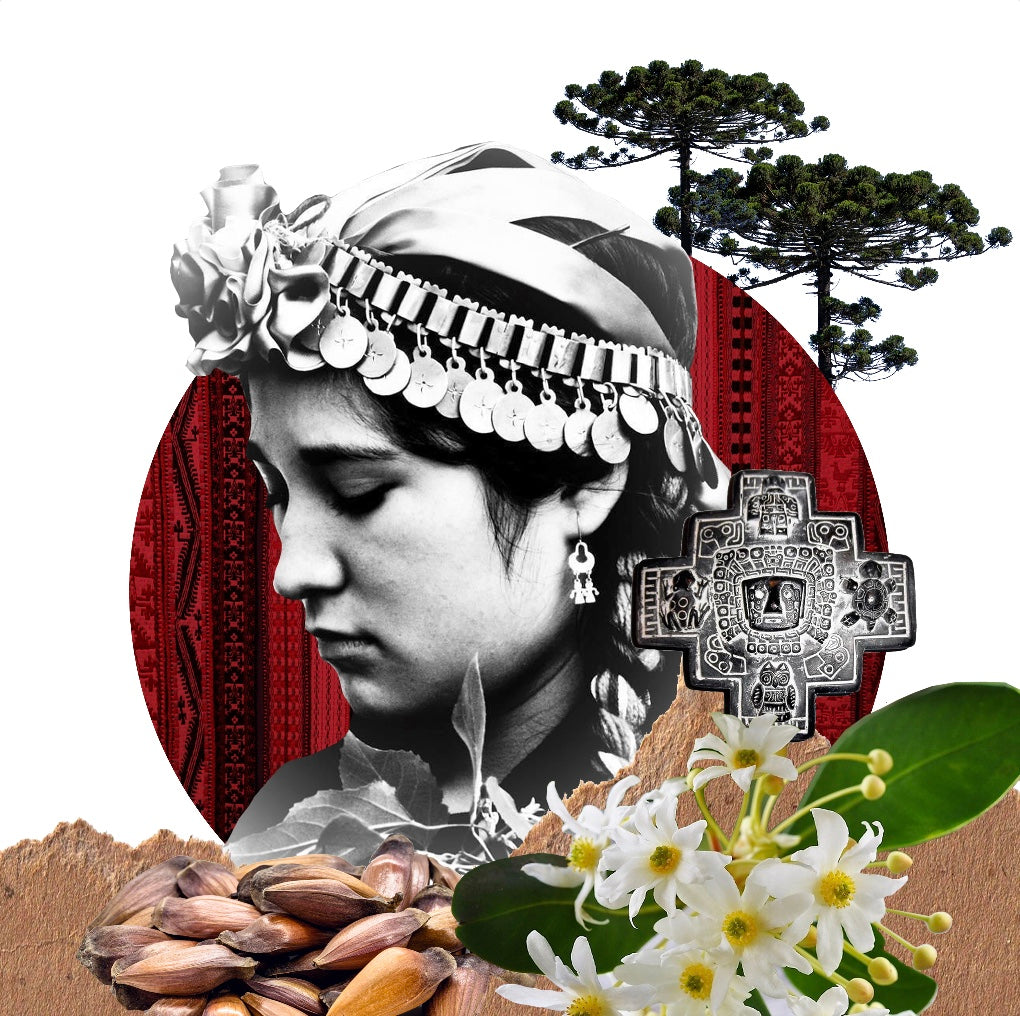 Cuadro Mujer Mapuche