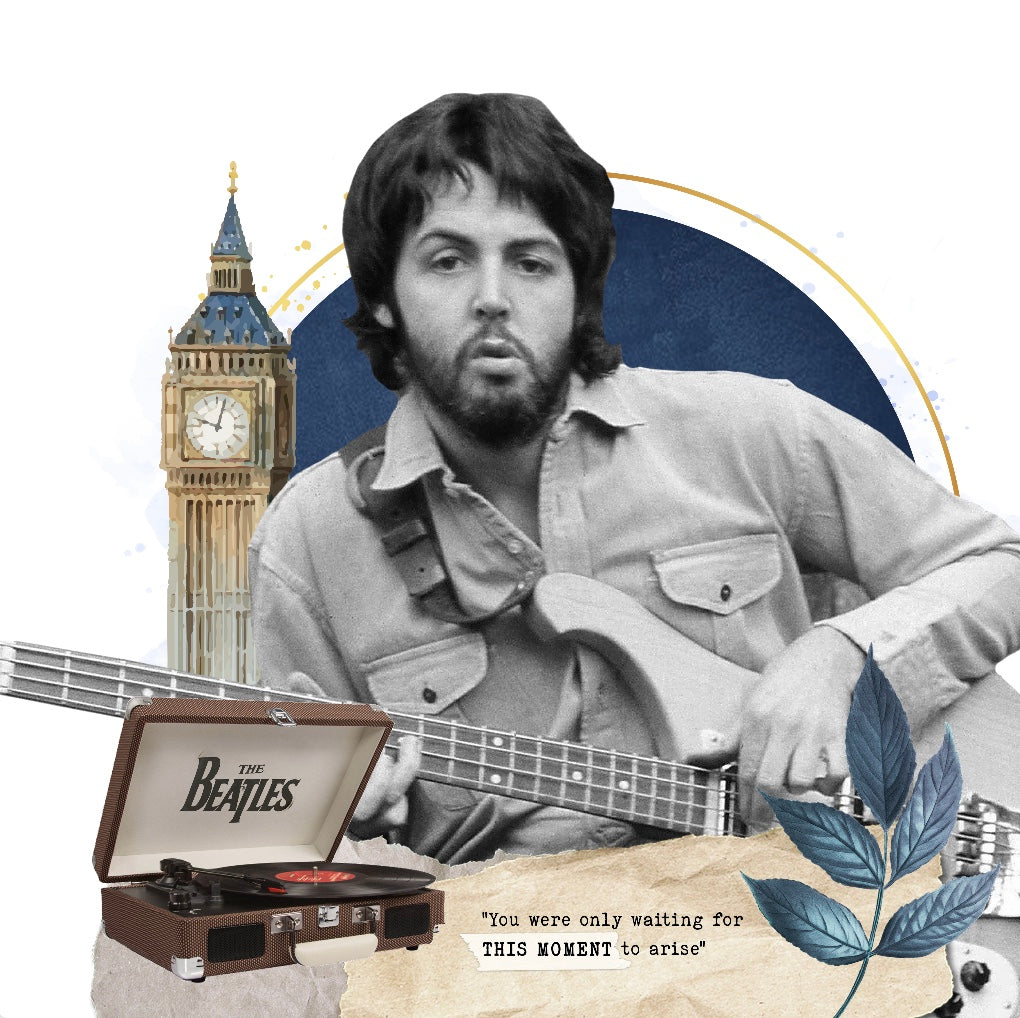 Cuadro Paul McCartney #2
