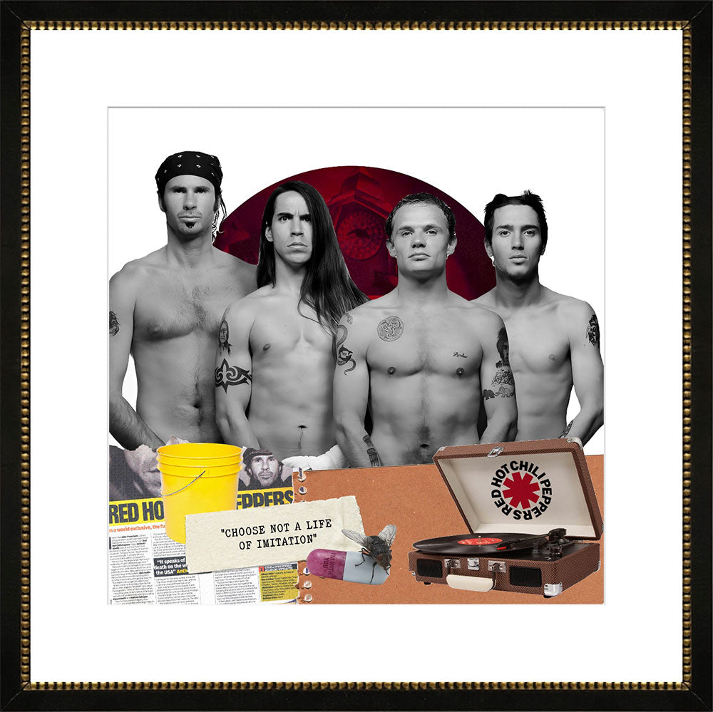 Cuadro Red Hot Chili Peppers
