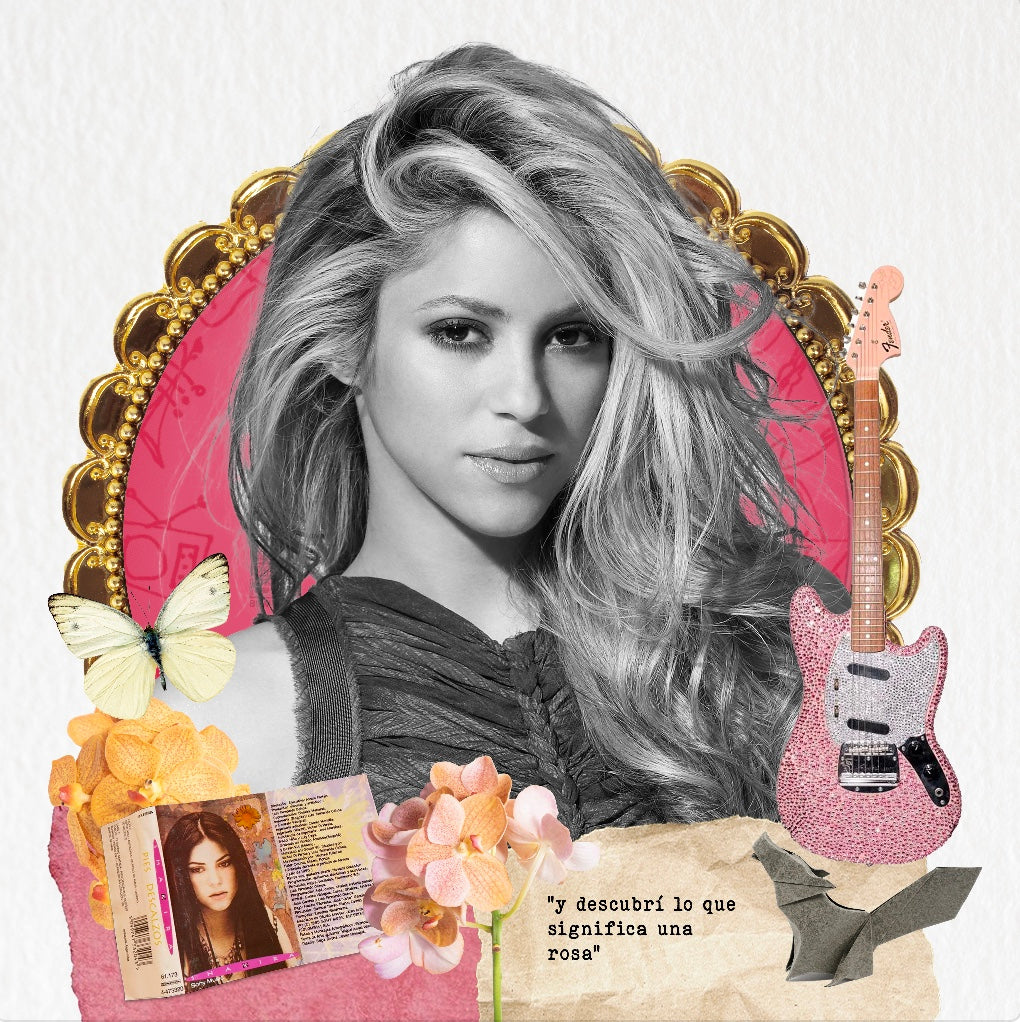 Cuadro Shakira