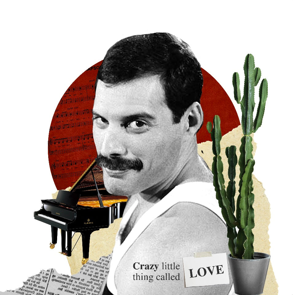 Cuadro Freddie Mercury #1