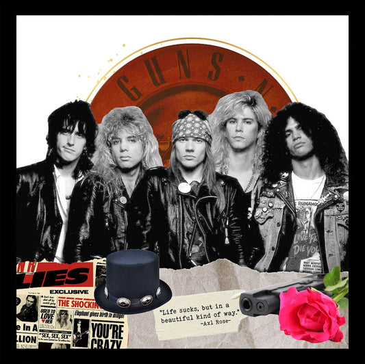 Cuadro Guns N' Roses