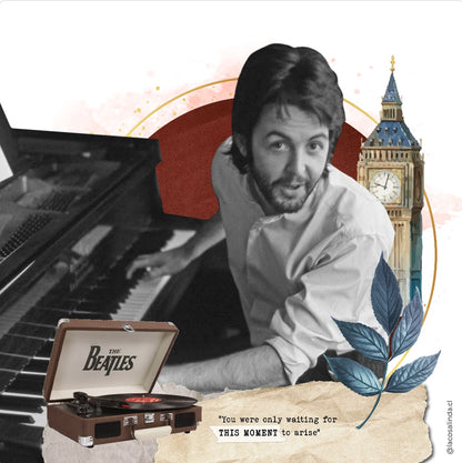 Cuadro Paul McCartney #1