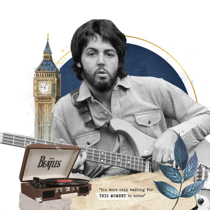Cuadro Paul McCartney #2